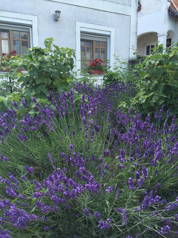 Viktoria Inn Tihany Exterior photo